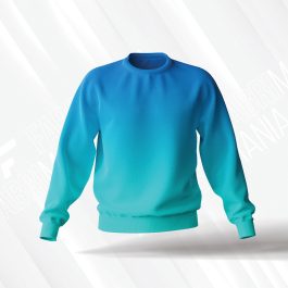 Men Mint Green Sweatshirt